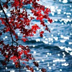 https://www.pinterest.com/pin/43417583884442528/